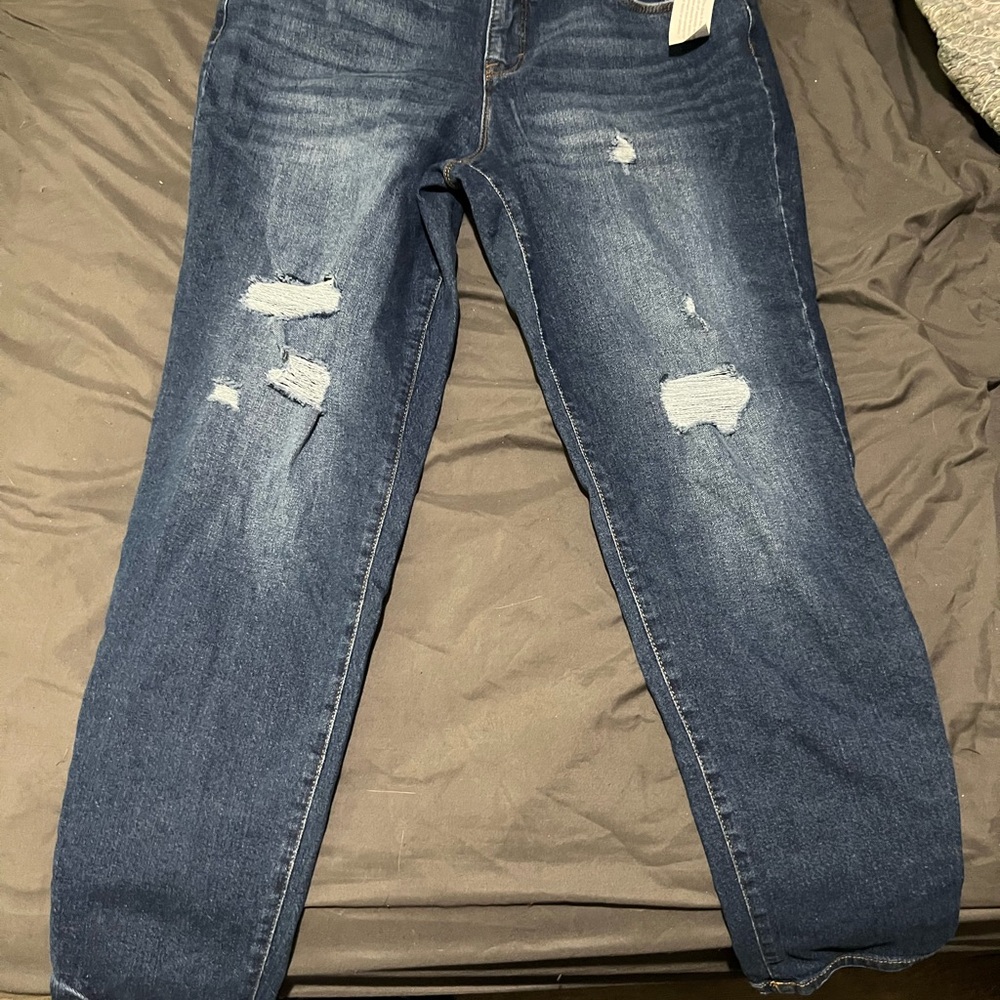 NWT (Size 14 ) Style & CO curvy skinny leg- Women's Distressed Blue Jeans